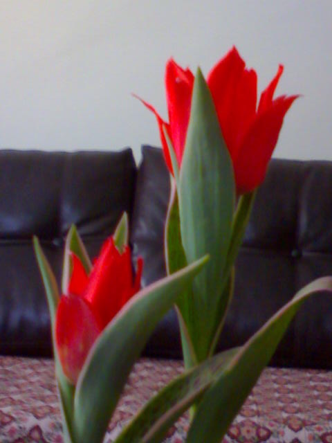 Name:  DSC03207.JPG
Views: 5474
Size:  36.3 KB