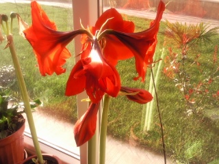 Name:  Fotoraf1757.jpg
Views: 959
Size:  43.3 KB