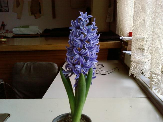 Name:  Fotoraf-0001.jpg
Views: 2511
Size:  40.6 KB