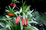 Name:  01.jpg
Views: 1437
Size:  35.3 KB