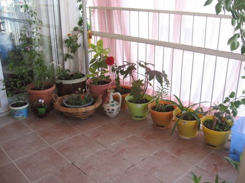 Name:  IMG_7449.JPG
Views: 4196
Size:  50.3 KB