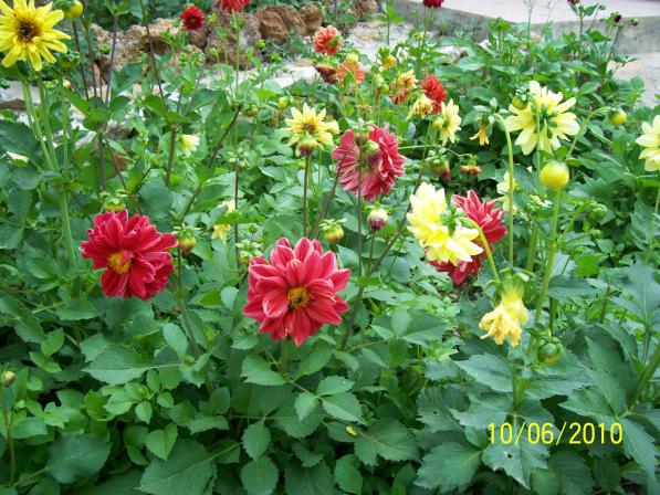Name:  Resim 151.jpg
Views: 1187
Size:  72.2 KB