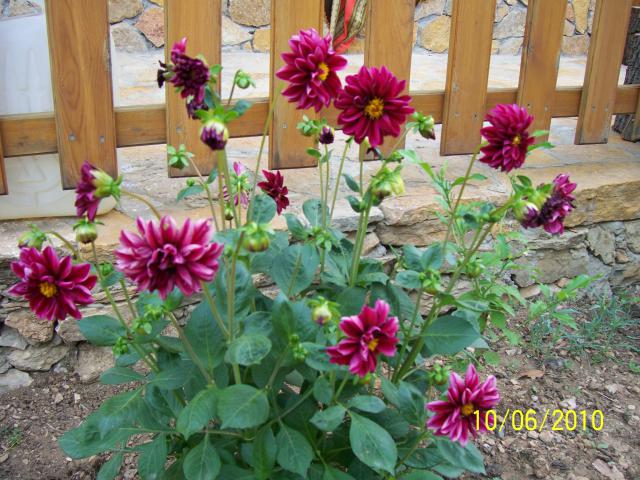 Name:  Resim 161.jpg
Views: 1194
Size:  69.6 KB