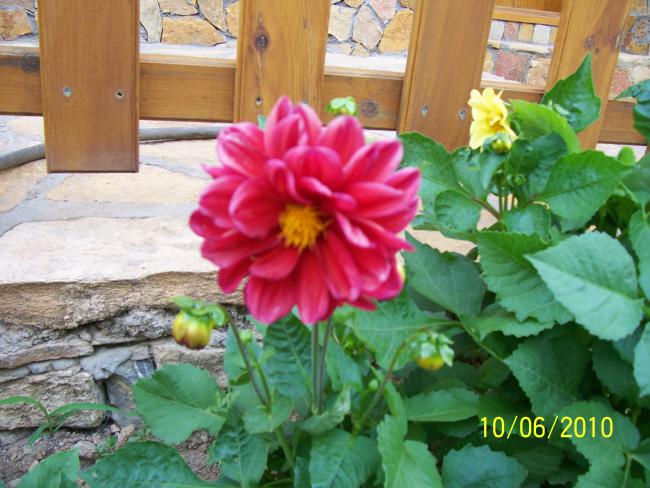 Name:  Resim 165.jpg
Views: 1314
Size:  55.6 KB