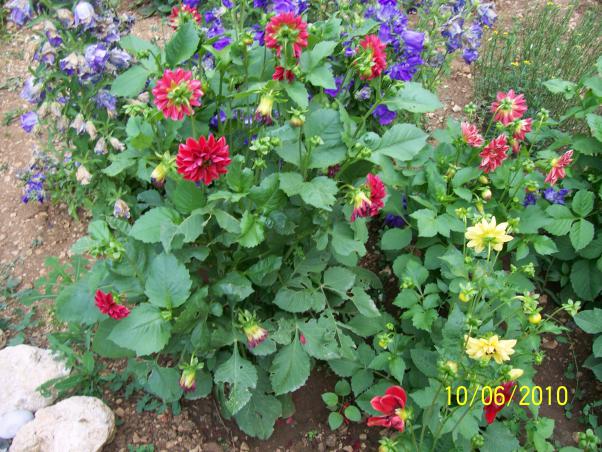 Name:  Resim 190.jpg
Views: 1283
Size:  72.4 KB