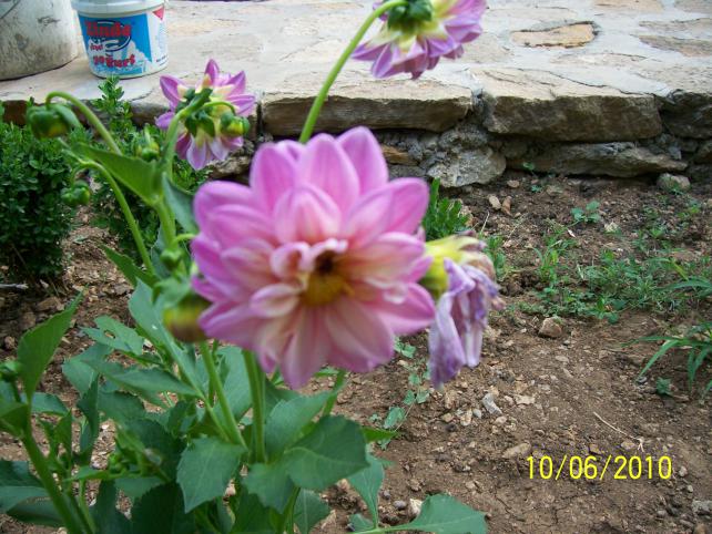 Name:  Resim 194.jpg
Views: 1297
Size:  70.8 KB