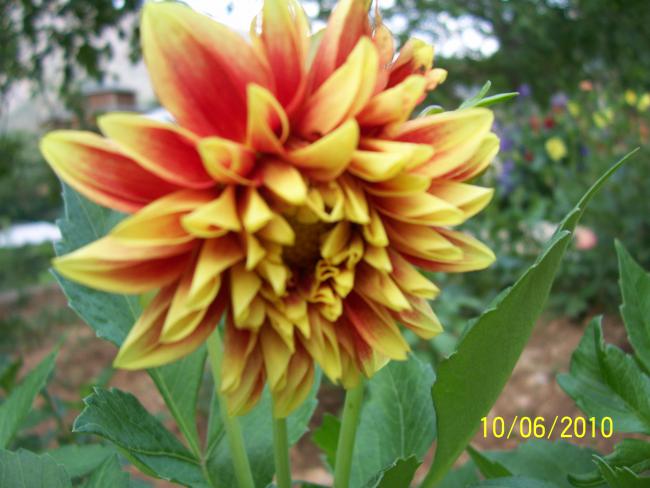 Name:  Resim 196.jpg
Views: 1302
Size:  44.5 KB