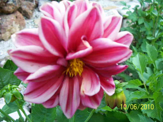 Name:  Resim 198.jpg
Views: 1296
Size:  48.6 KB