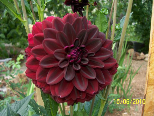 Name:  Resim 195.jpg
Views: 1212
Size:  50.3 KB