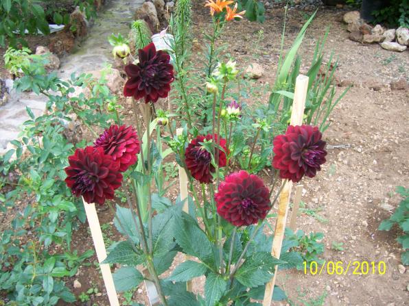 Name:  Resim 158.jpg
Views: 1235
Size:  71.3 KB