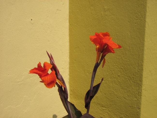 Name:  IMG_0819.jpg
Views: 9096
Size:  38.8 KB