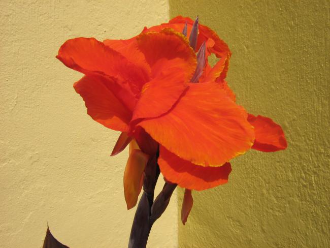 Name:  IMG_0820.jpg
Views: 9160
Size:  41.5 KB