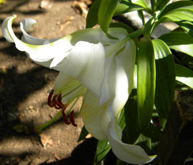 Name:  Resim 032.jpg
Views: 1640
Size:  42.3 KB