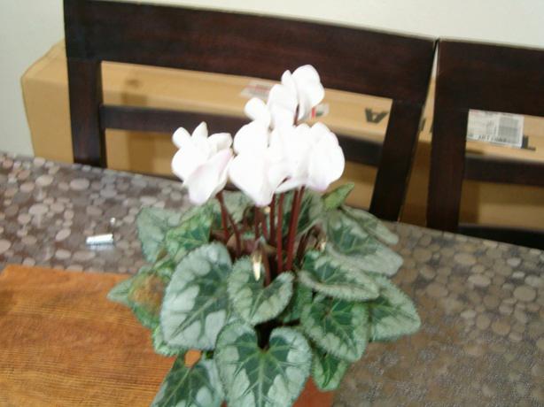 Name:  ieklerim 007.jpg
Views: 1764
Size:  35.9 KB