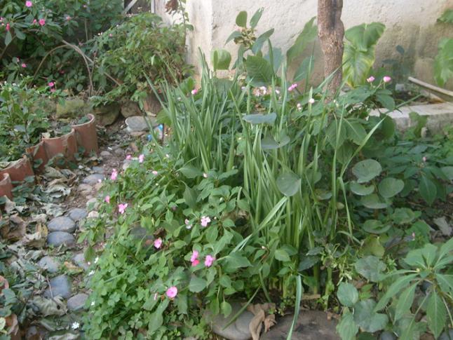 Name:  S6300639.jpg
Views: 1098
Size:  70.4 KB