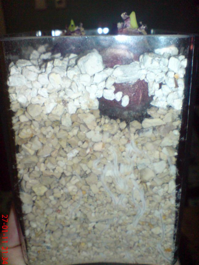 Name:  Resim 089.jpg
Views: 1671
Size:  68.2 KB