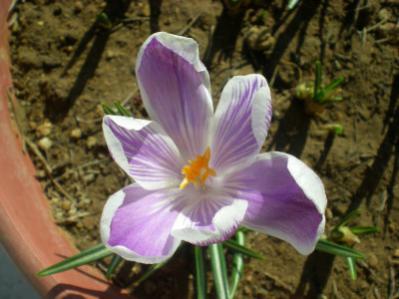 Name:  aDSCN0132_tn.jpg
Views: 793
Size:  22.5 KB