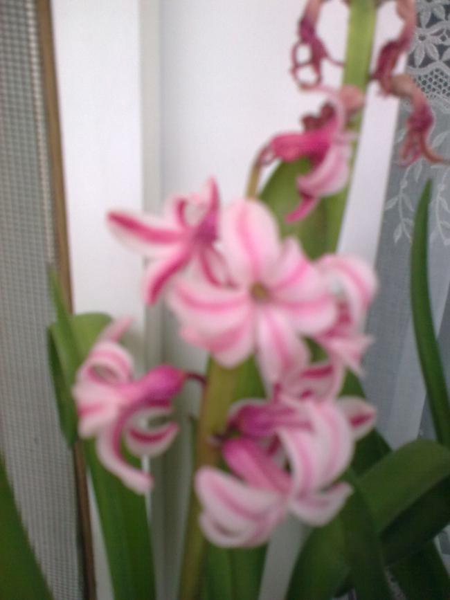 Name:  06032011_005.jpg
Views: 950
Size:  42.2 KB