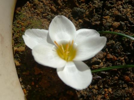 Name:  d2.JPG
Views: 1051
Size:  34.3 KB