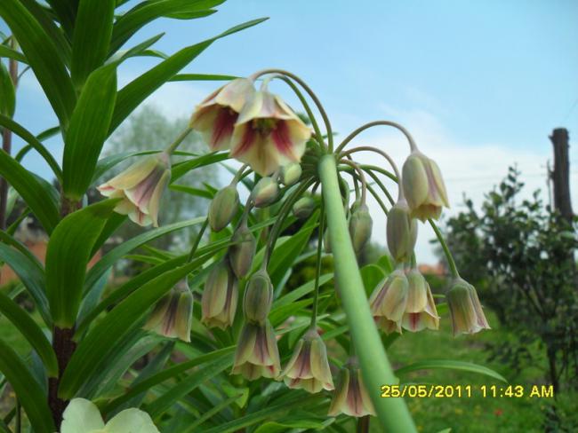 Name:  011.jpg
Views: 951
Size:  46.3 KB