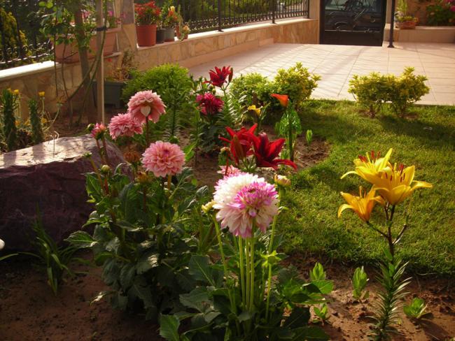 Name:  DSCN5531.jpg
Views: 1662
Size:  69.0 KB