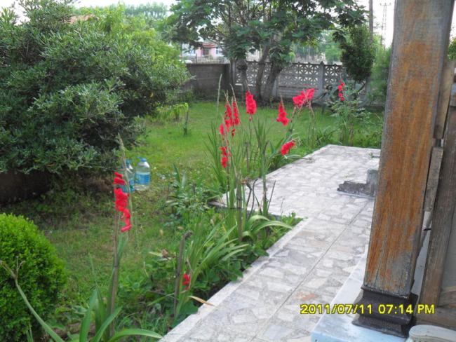 Name:  032.jpg
Views: 2002
Size:  67.1 KB