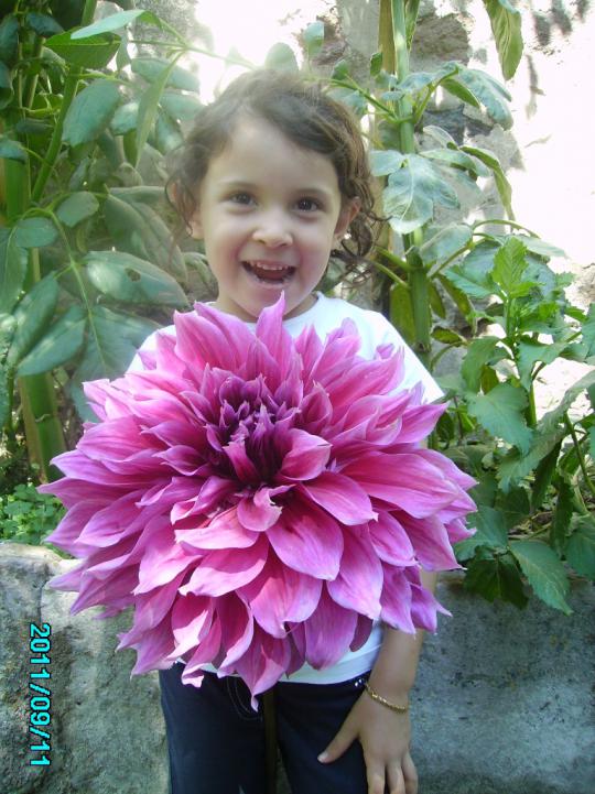 Name:  idem son emory paul.jpg
Views: 3230
Size:  75.4 KB