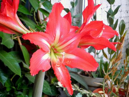 Name:  P9190326 - Kopya.jpg
Views: 1009
Size:  32.3 KB