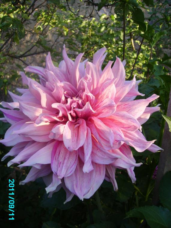 Name:  maki.jpg
Views: 1461
Size:  74.1 KB