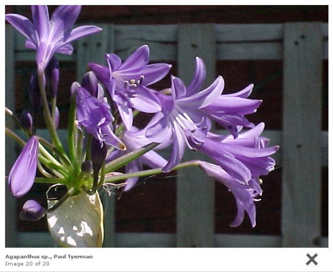 Name:  SNAG-0137.jpg
Views: 11161
Size:  50.6 KB