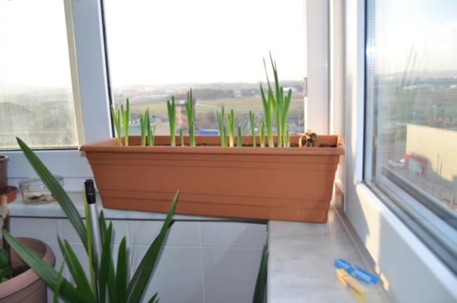 Name:  n13 - Kopya.jpg
Views: 905
Size:  29.0 KB