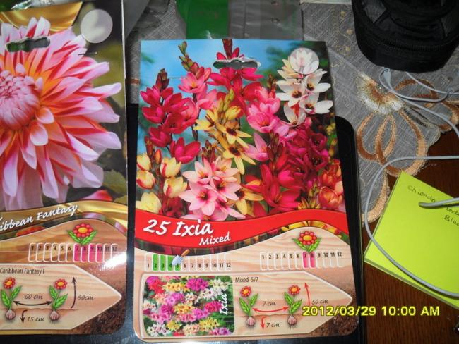 Name:  022.jpg
Views: 2937
Size:  68.1 KB