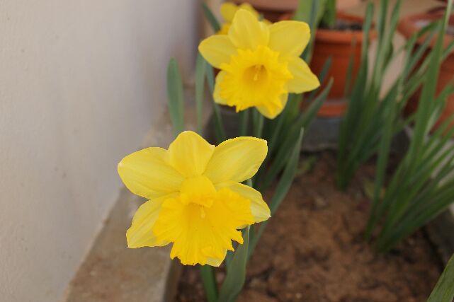 Name:  IMG_1045.jpg
Views: 618
Size:  25.0 KB