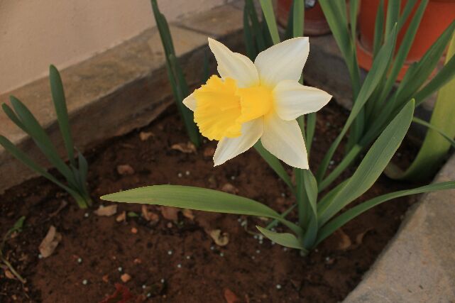 Name:  IMG_0906.jpg
Views: 641
Size:  37.0 KB