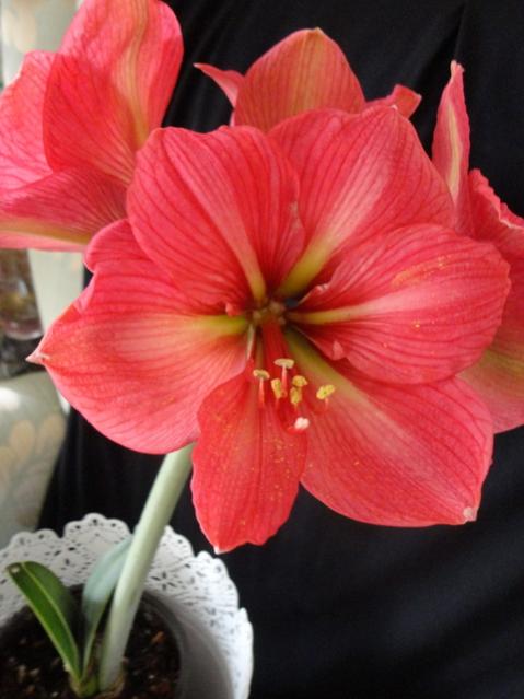 Name:  23-DSC00023.jpg
Views: 1463
Size:  37.7 KB