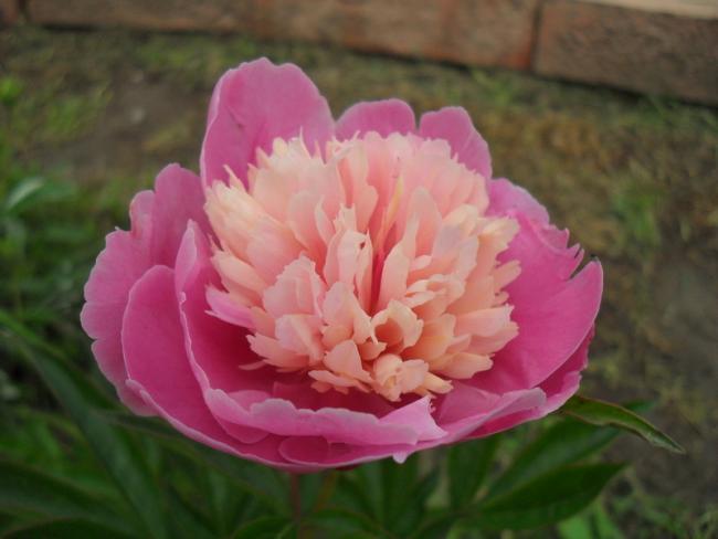 Name:  010.jpg
Views: 9446
Size:  31.5 KB