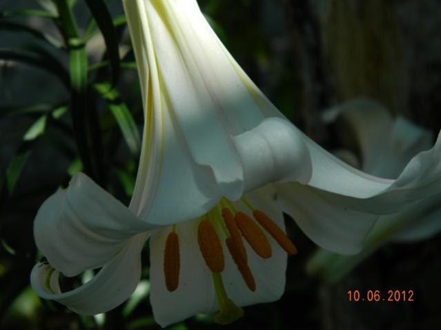 Name:  Kopyas Resim 024.jpg
Views: 1548
Size:  23.5 KB