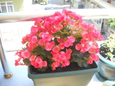 Name:  DSCN2708.jpg
Views: 3900
Size:  64.8 KB