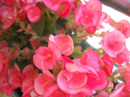 Name:  DSCN2712.jpg
Views: 3694
Size:  62.6 KB