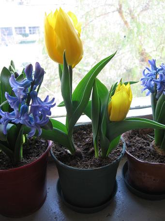 Name:  027.JPG
Views: 1158
Size:  41.7 KB