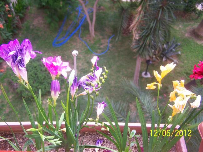 Name:  002.jpg
Views: 1586
Size:  60.4 KB