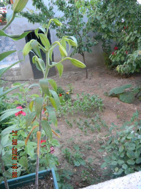 Name:  DSCN1649.jpg
Views: 1148
Size:  64.6 KB