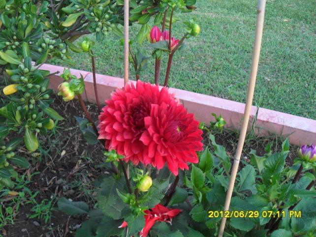 Name:  041.jpg
Views: 1305
Size:  71.0 KB