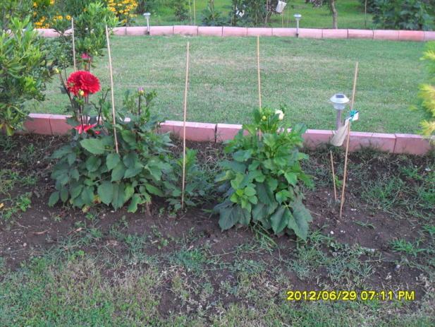 Name:  044.jpg
Views: 1499
Size:  70.8 KB