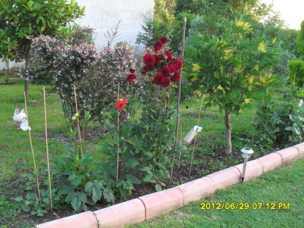 Name:  050.jpg
Views: 1457
Size:  70.7 KB