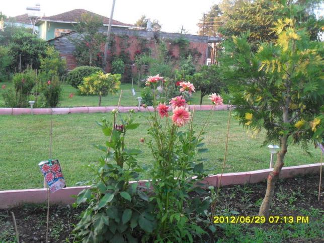 Name:  062.jpg
Views: 1246
Size:  70.7 KB