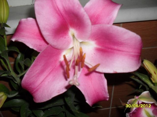 Name:  033.jpg
Views: 959
Size:  33.3 KB