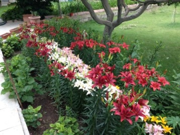 Name:  IMG_0265.JPG
Views: 891
Size:  53.0 KB