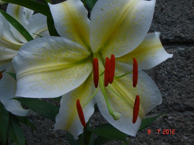 Name:  DSC03784.jpg
Views: 1695
Size:  39.2 KB