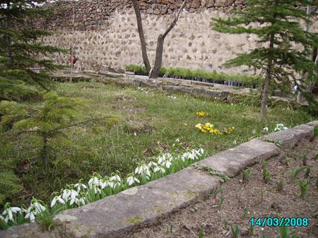 Name:  igdem-slayt-2.jpg
Views: 1185
Size:  65.6 KB